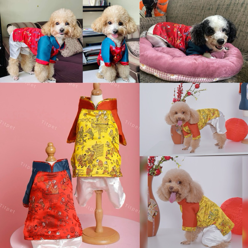 Bộ áo dài Tết cho thú cưng
