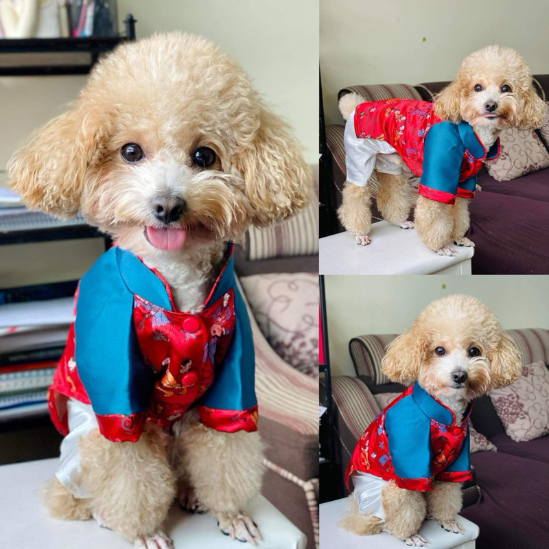 Bộ áo dài Tết cho thú cưng