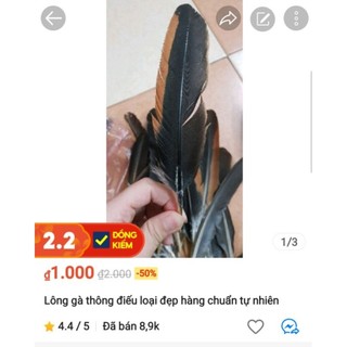 Lông gà thông điếu hàng đẹp