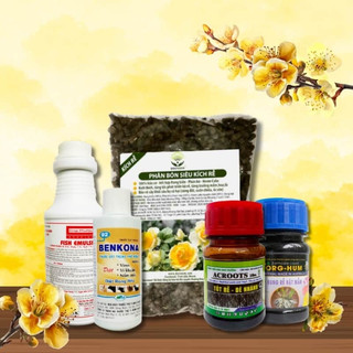 COMBO CHĂM SÓC MAI SAU TẾT VÀ PHỤC HỒI MAI SAU TẾT