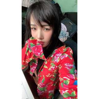 vải lụa con công cổ  điển