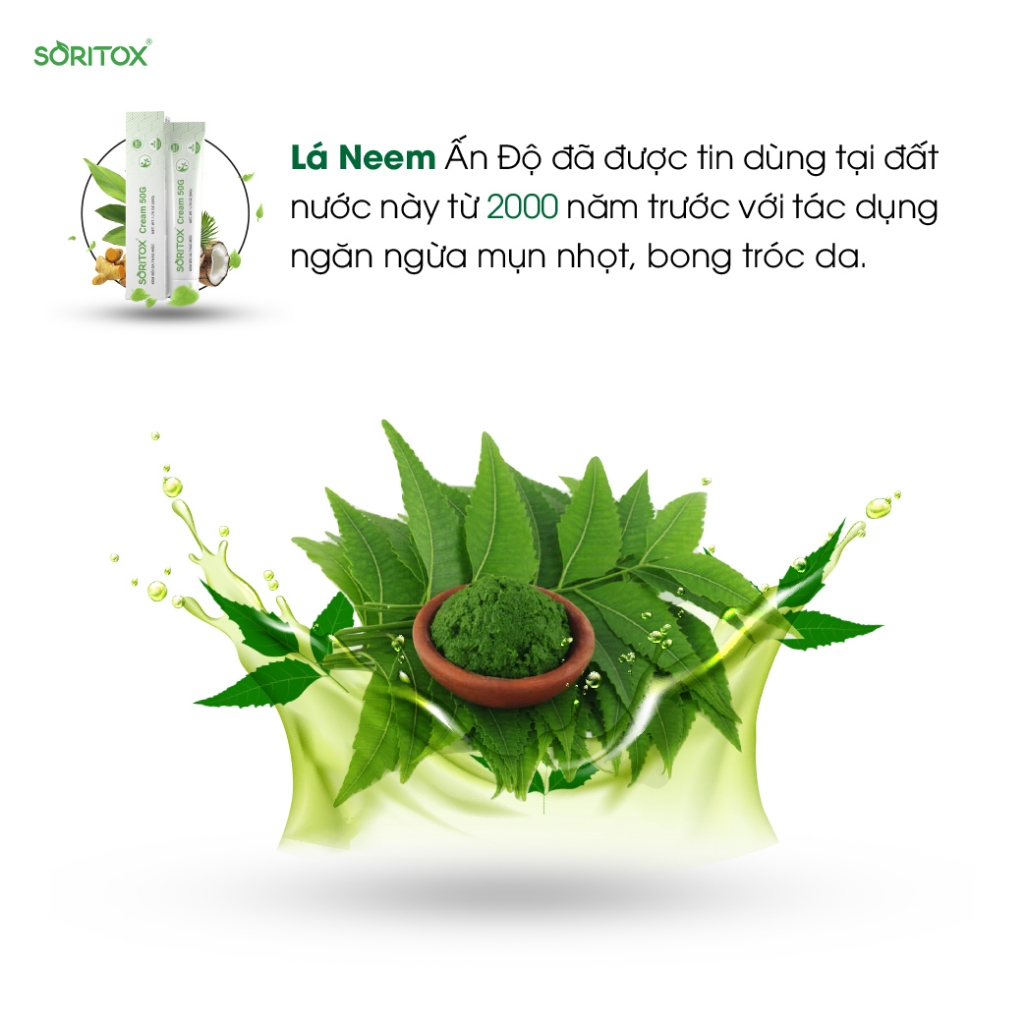 Kem bôi Viêm da cơ địa, Hắc lào, Á sừng, Lang ben, Vảy nến, Chàm da, Nấm ngứa từ chiết xuất lá Neem  - SORITOX CREAM 50G