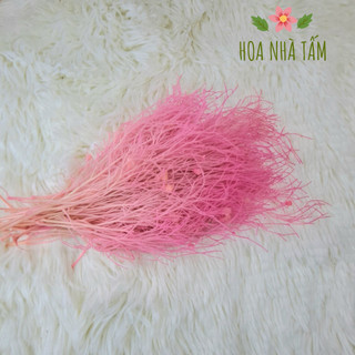 Cỏ mơ khô - 2gr - decor, handmade hoa nhà tấm