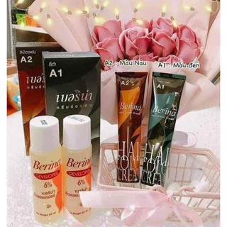 nhuộm phủ bạc Berina ( có tem chính hãng )