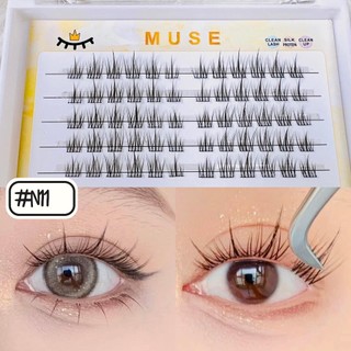 Mi rời tự gắn muse - n11