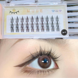 Mi rời tự gắn muse - n13