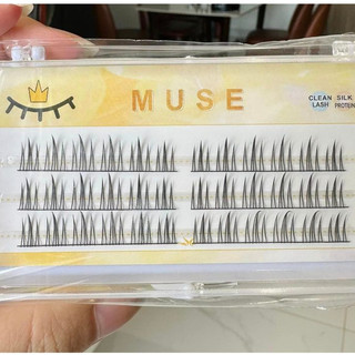 Mi rời tự gắn muse - n17
