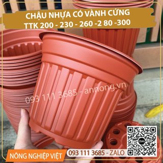Combo 50 chậu nhựa TTK có vành 260 màu nâu đỏ, màu trắng - Chậu trồng vạn thọ 3 gốc, chậu trồng hoa cúc tết