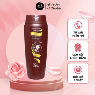 Dầu Gội Đầu Dược Liệu Thái Dương 7 Sạch Gàu Hết Ngứa Mềm Mượt Chăm Sóc Tóc Hư Tổn Từ Sâu Bên Trong - HT054