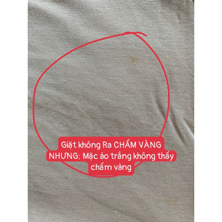 Áo lá Dài HỌC SINH Coton - Bigsize