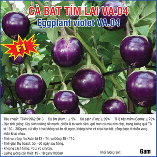 Hạt giống Cà Bát Tím Lai F1 (VA.04)