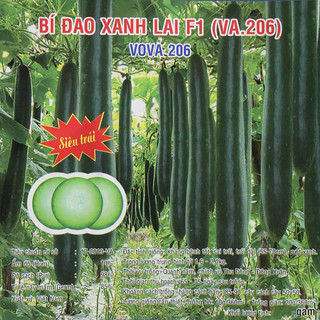 Hạt giống bí đao xanh lai f1 10gram