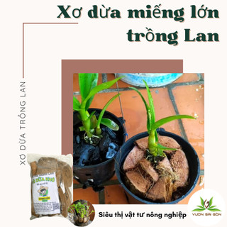 Giá thể trồng lan xơ dừa miếng lớn đã qua xử lý, gói 250g (Vườn Sài Gòn)