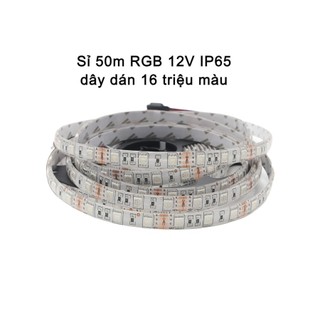 Sỉ 50m led rgb 7 màu 12v 5050 dây dán 60led/m ip65 phủ keo chống thấm nước