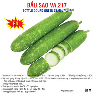 Hạt giống Bầu Sao F1 (VA.217) 10 hạt