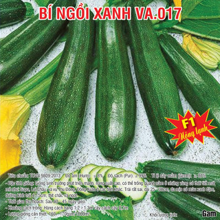 Hạt giống bí ngồi xanh f1 5 gam và 10 gam