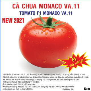 Hạt giống cà chua monaco f1 chịu nhiệt 100 hạt