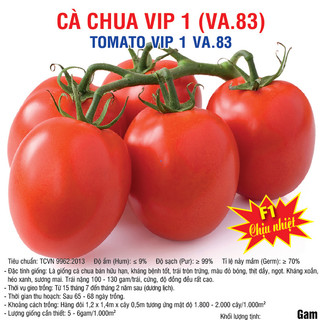 Hạt giống cà chua chịu nhiệt f1 vip 5gram