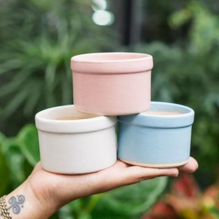 Chậu Trụ Đai Thấp Nhiều Màu trồng Sen đá, Xương rồng, Cẩm Nhung - Chậu cây để bàn làm việc, trang trí nhà cửa, sân vườn