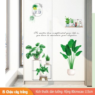 Decal dán tường trang trí - BỘ CHẬU CÂY XANH hiện đại-BA94005