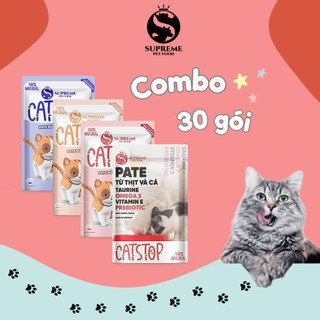 Combo 30 gói Pate CHO MÈO Mix vị, mỗi gói 100 gram (vị mới)