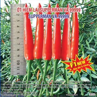 Hạt giống Ớt Hiểm lai F1 Superman (VA.99999) 5gram