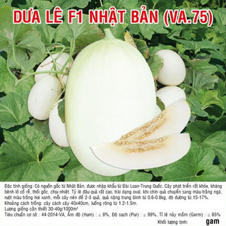 Hạt giống dưa lê f1 nhật bản