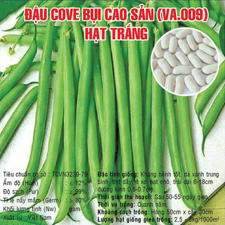 Hạt giống Đậu Cove Bụi Cao Sản hạt trắng – 500gram