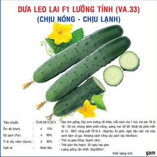 Hạt giống dưa leo lai f1 lưỡng tính - 10gram
