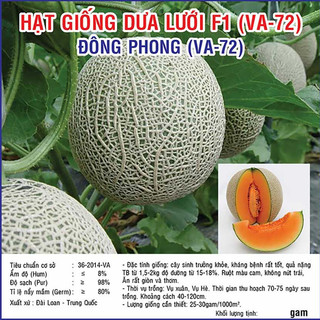 Hạt giống dưa lưới f1 đông phong – 10 gam