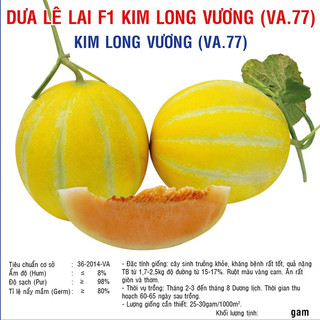 Hạt giống dưa lê lai f1 kim long vương va.77