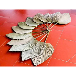 Lá cọ khô trang trí 45cm