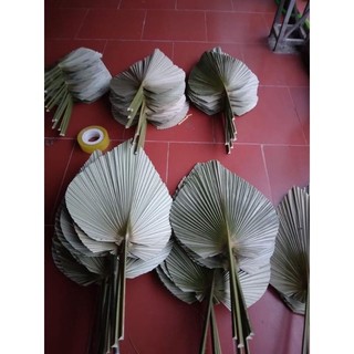 Lá cọ khô trang trí 45cm