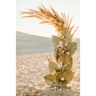 Lá cọ khô trang trí 45cm
