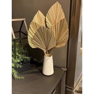 Lá cọ khô trang trí 45cm
