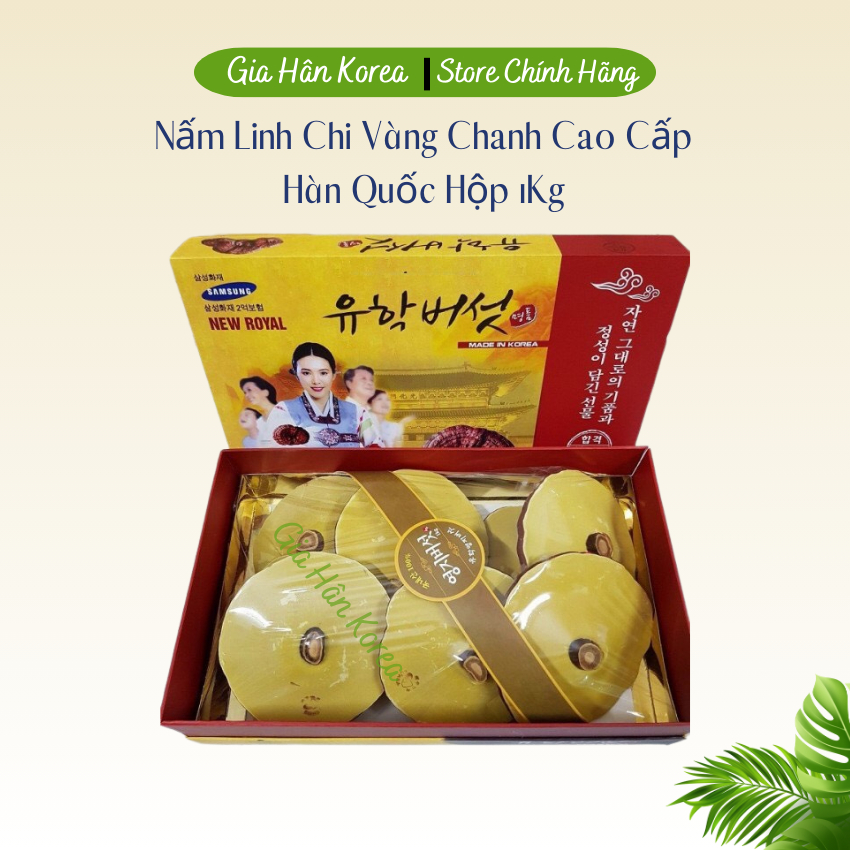 Nấm Linh Chi Vàng Chanh Hộp Quà Cao Cấp Hàn Quốc, Làm giảm quá trình lão hóa, Tăng cường hệ miễn dịch và bảo vệ gan