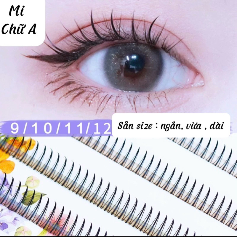 Mi chữ A dáng mi mắt ướt