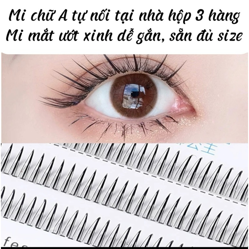 Mi chữ A dáng mi mắt ướt