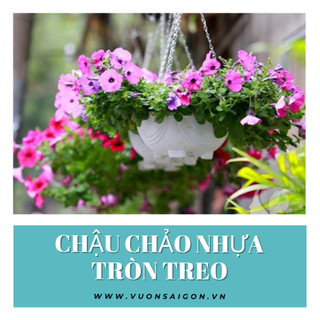 Chậu chảo treo không dây nhỏ (30x12cm) gọn nhẹ, khó bể, chậu nhựa tròn treo (Vườn Sài Gòn)