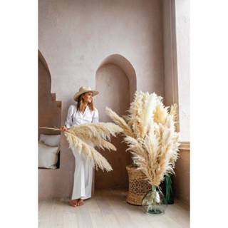  Combo 10 bông Lau xù cỏ lau khô hoa khô trang trí decor nhà shop quán cafe tiệc cưới sự kiện LK21 