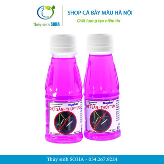 Tiêu diệt giun sán, thủy tức trong bể cá thủy sinh