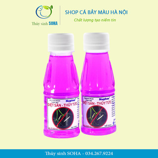 Diệt giun sán và thủy tức trong bể thủy sinh