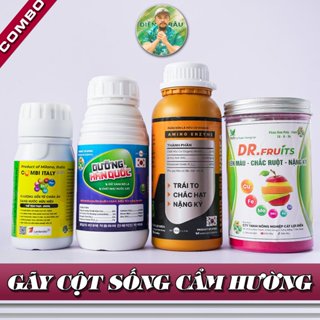 Combo gãy cột sống cẩm hường giúp nặng ký đẹp trái to trái ngọt trái
