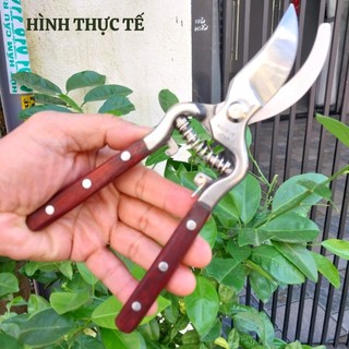 Kéo cắt cành hàng NHẬT bãi cao cấp tay ốp gỗ bằng thép trắng đúc không gỉ