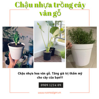 Chậu nhựa vân gỗ 18 thiết kế vân gỗ đẹp bền, nhựa dẻo, giá rẻ