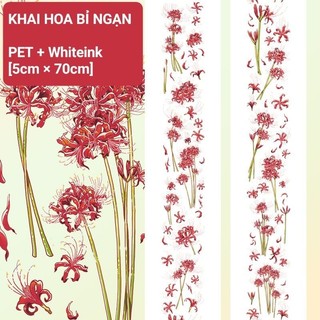 Băng dính PET nền trong