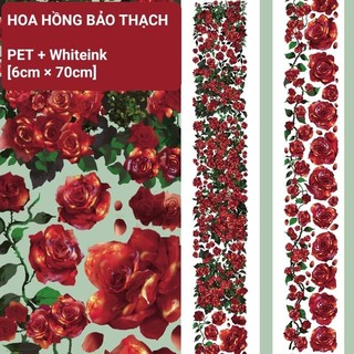 Băng dính PET nền trong