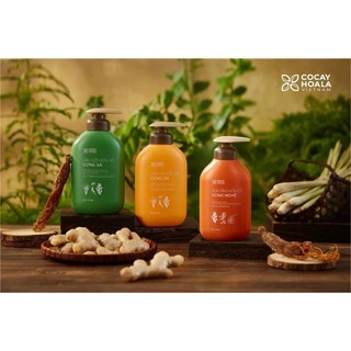 Combo Gel Gội_Xả Gừng Sả và Sữa Tắm Gừng Nghệ