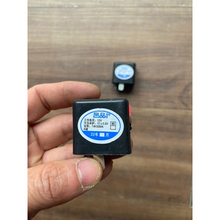 Chíp xi nhan xe điện 12V và 48V-60V