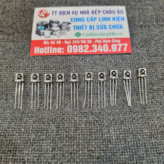 Mắt nhận hồng ngoại, thạch anh vỏ sắt